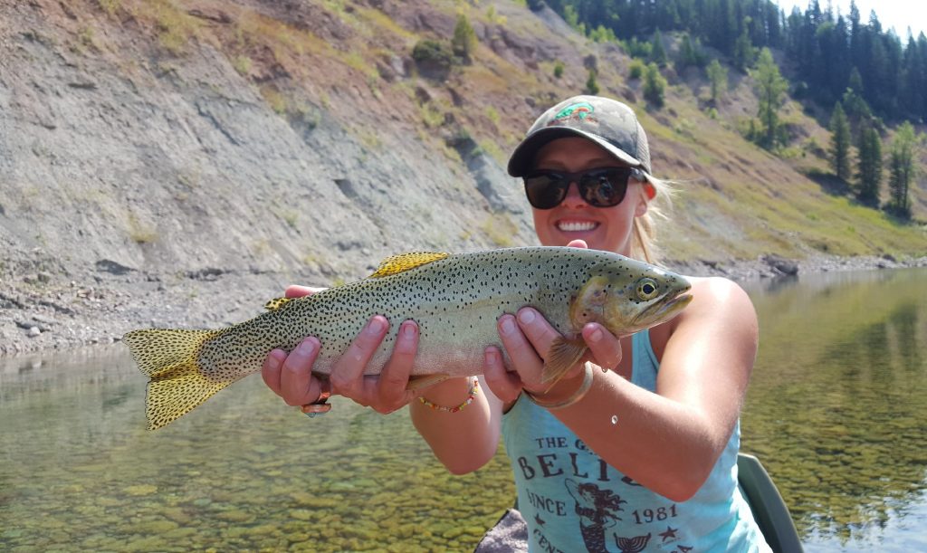 cutthroat on the middle fork of the flathead river