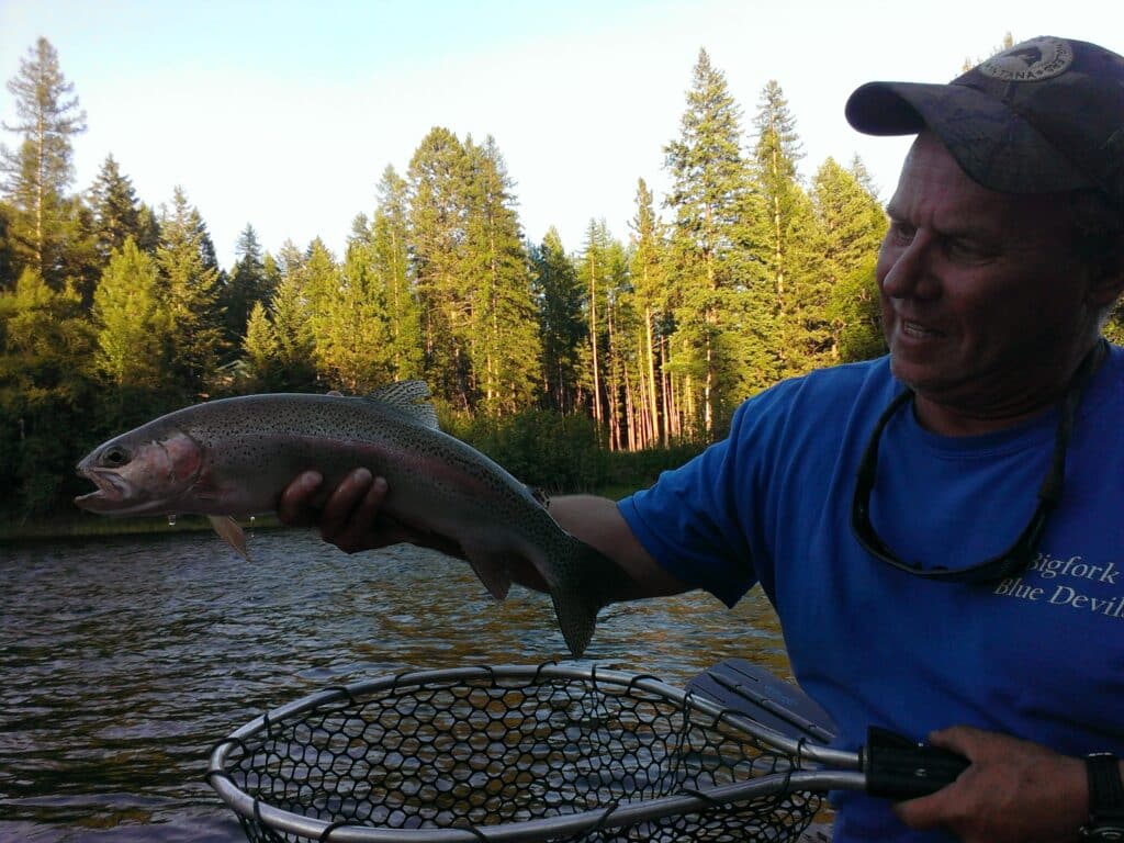 beautiful trout on the swan river