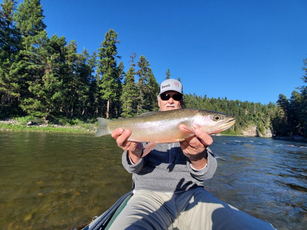 blackfoot river cutthroat