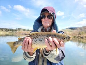 Brown trout on the Missouri river