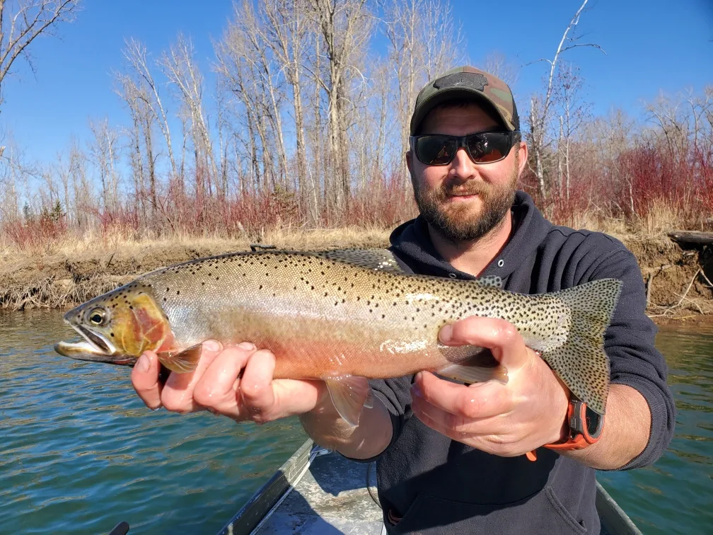 Flathead River Cutthroat