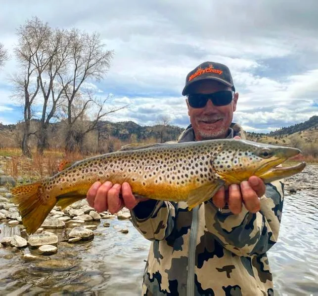 brown trout missouri river
