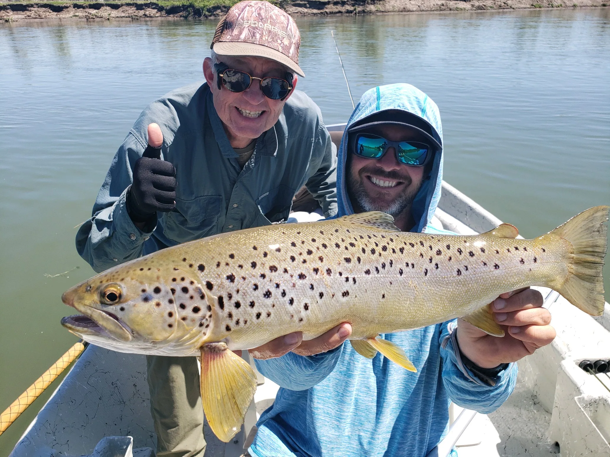 big brown trout on the missouri river