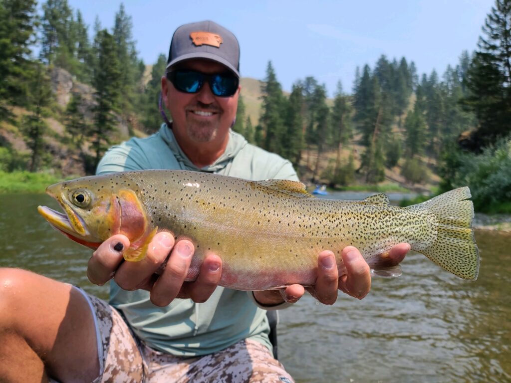 Big cutthroat on Blackfoot River