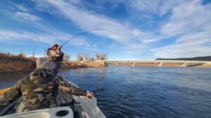 missouri river fly fishing