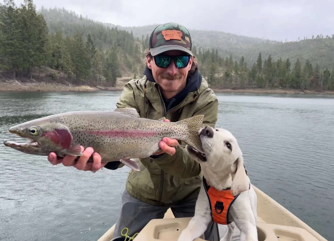 Nice rainbow trout