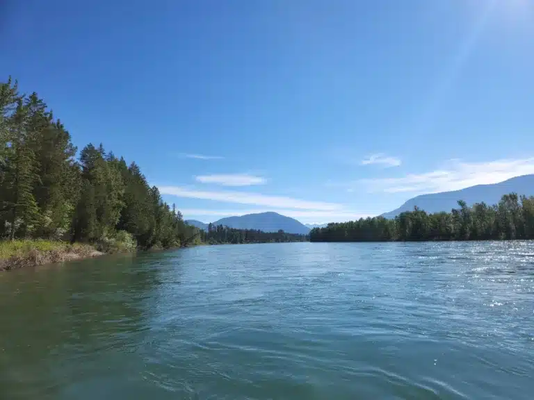 Glacier view from Flathead River