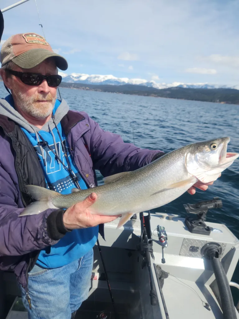 Flathead Lake trout