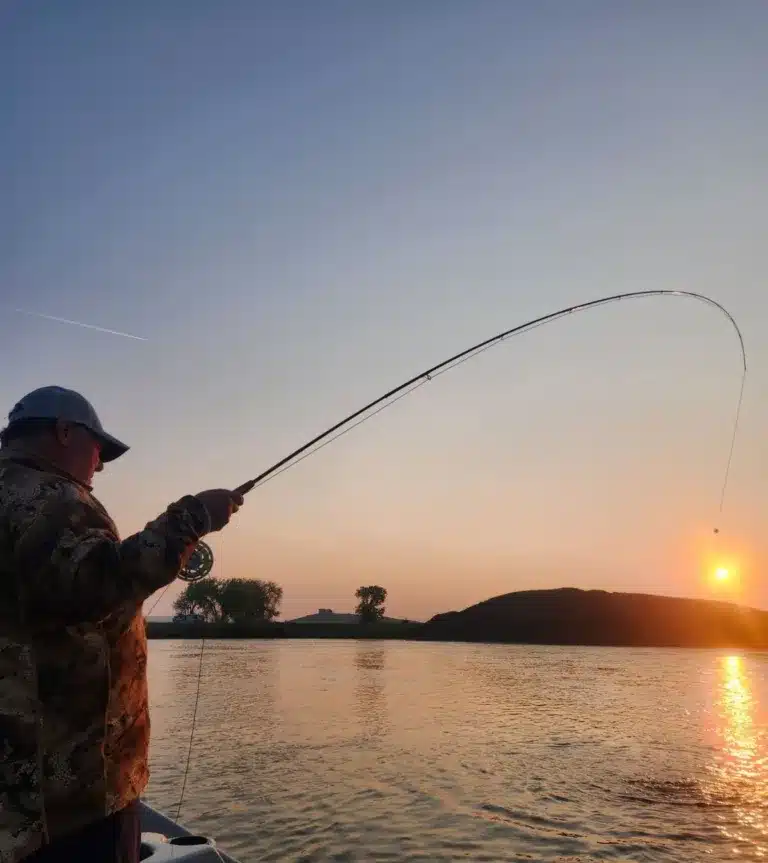 Gorgeous sunshine and a fish on