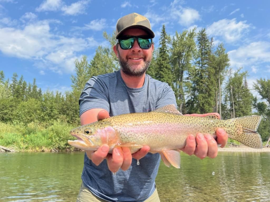 Rainbow trout in august