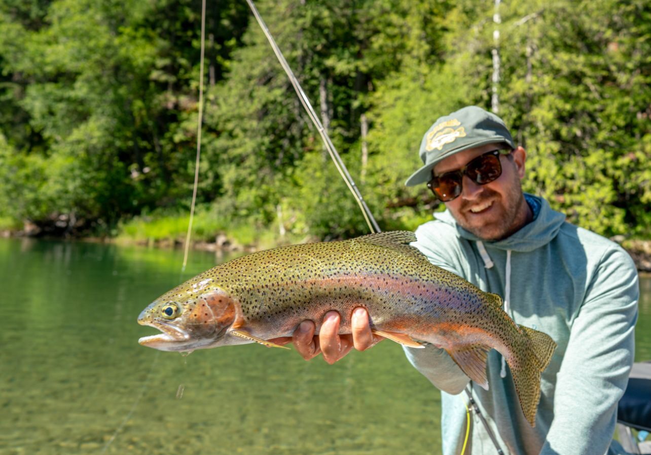 beautiful rainbow trout