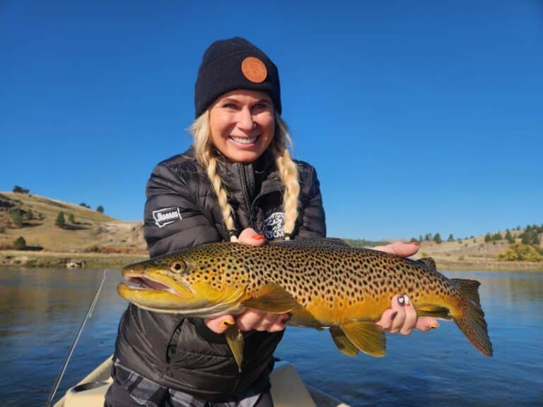 fall brown trout