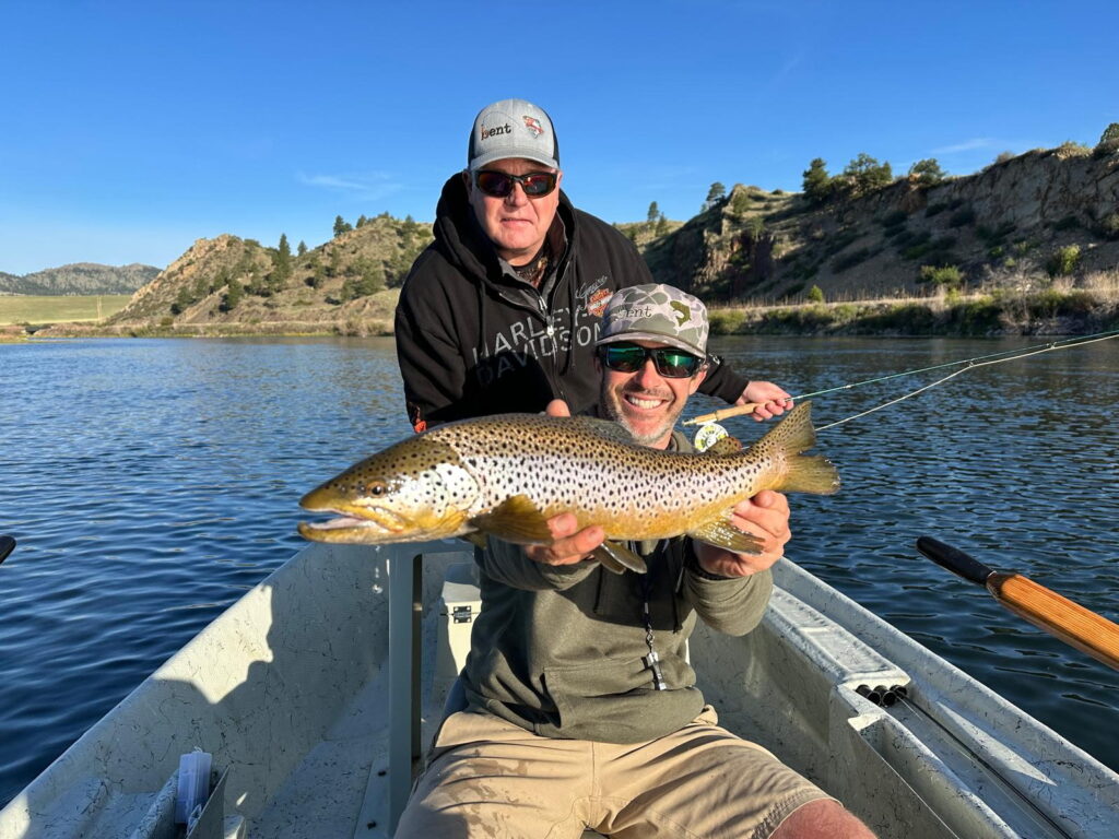 Byron with a nice brown