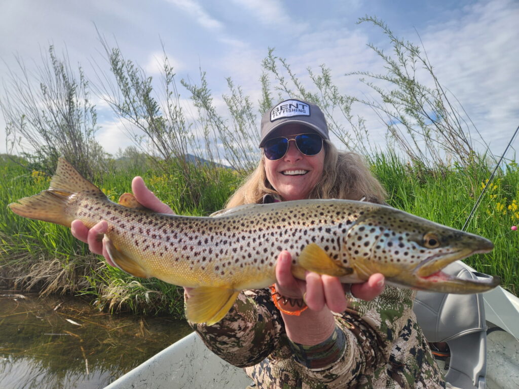 Hallie with a beautiful brown