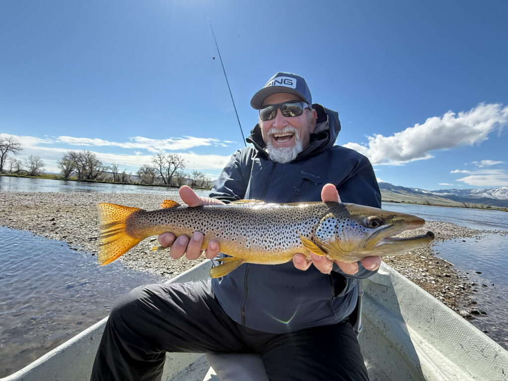 Missouri River brown trout