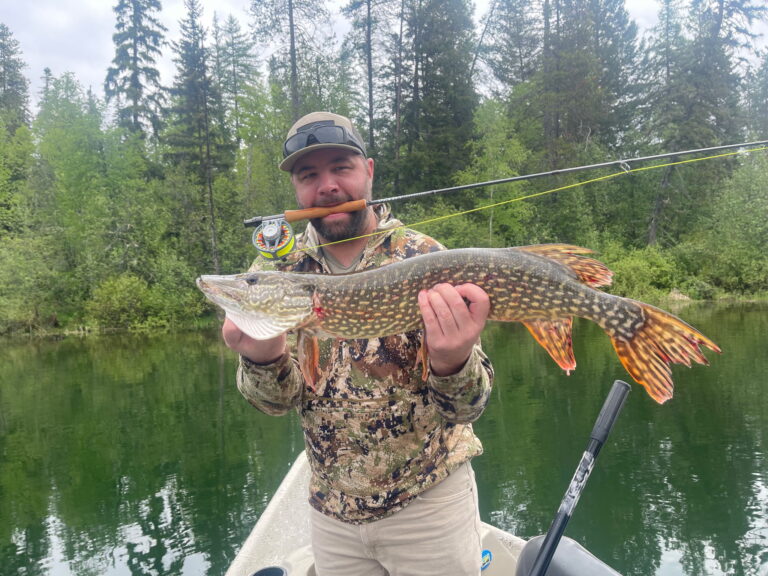 Pike!