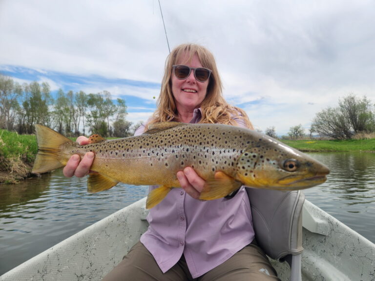 gorgeous brown