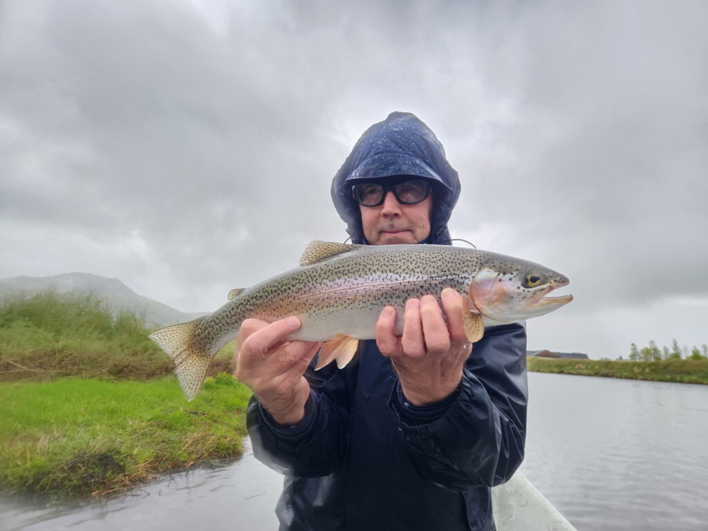 rainy mo day