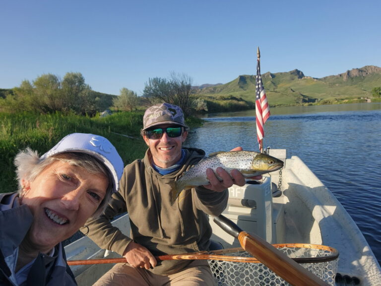 America trout