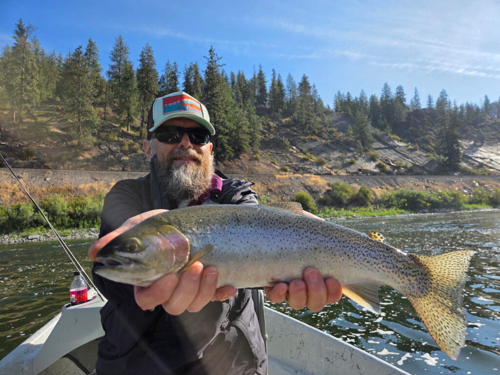 big bow
