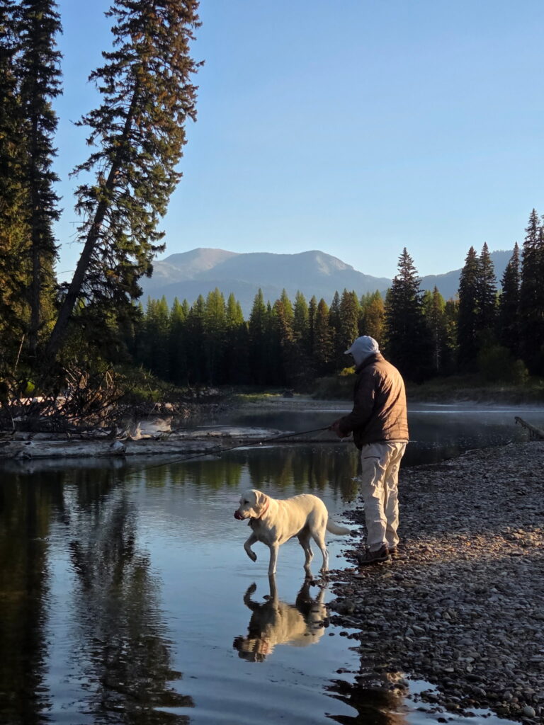 White lab fishing buddy