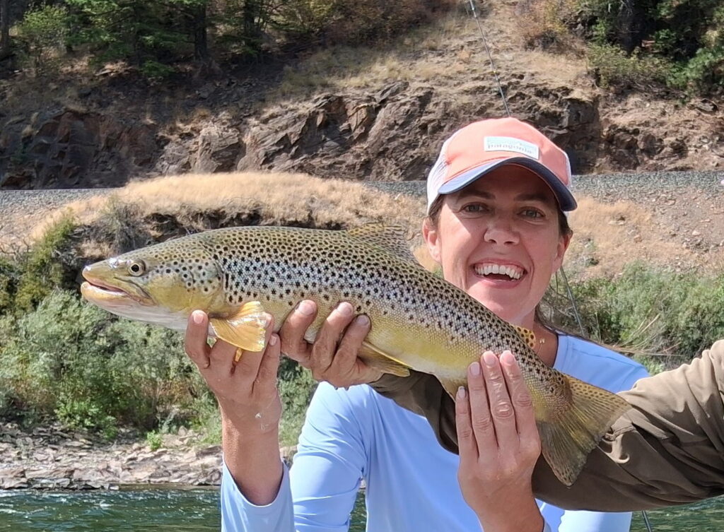 heck of a brown trout