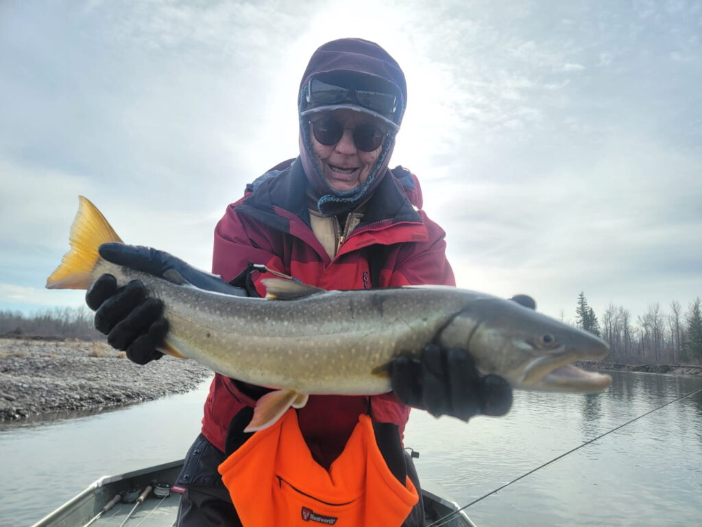 awesome bull trout on the flathead river