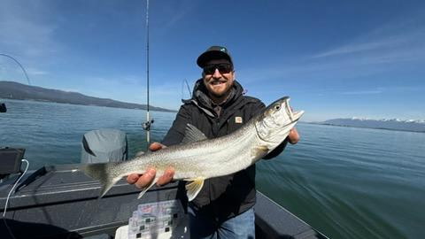 Flathead lake mack