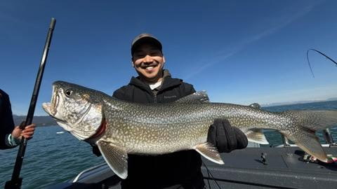 lake trout